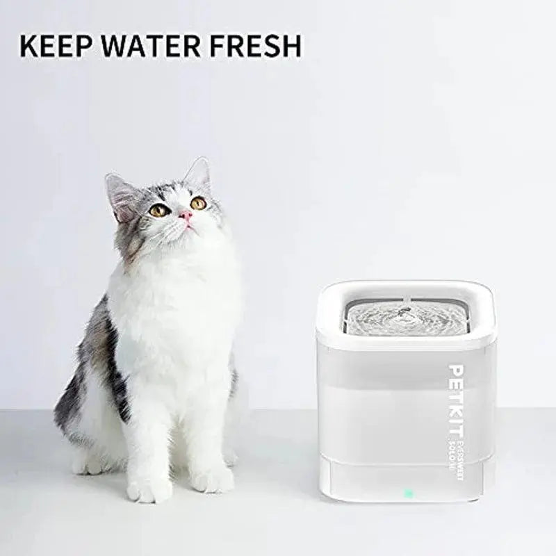 PETKIT  63oz/1.85L Pet Water Fountain for Cats and Small Dogs Super Quiet Hygienic Auto Power-Off Cat Water Dispenser - Trusted Pet Products