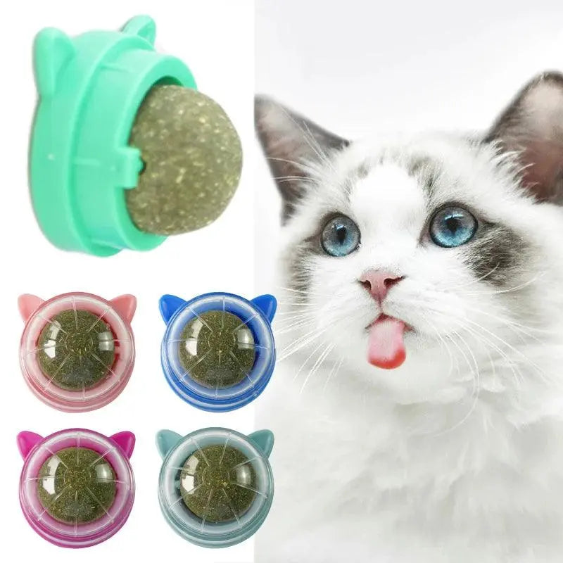 1Pcs Natural Catnip Cat Wall Stick-on Ball Toy Treats Healthy Removes Hair Balls to Promote Digestion Grass Snack Pet Supplies - Trusted Pet Products