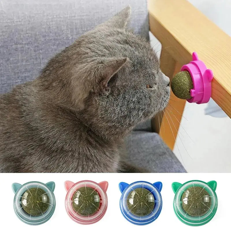 1Pcs Natural Catnip Cat Wall Stick-on Ball Toy Treats Healthy Removes Hair Balls to Promote Digestion Grass Snack Pet Supplies - Trusted Pet Products