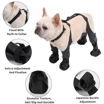 1Set Dog Shoes Puppy Dog Outdoor Sock Shoes Waterproof Dog Boot for Small Medium Dogs Pet Paw Protector Anti-Slip Dog Rain Shoes - Trusted Pet Products