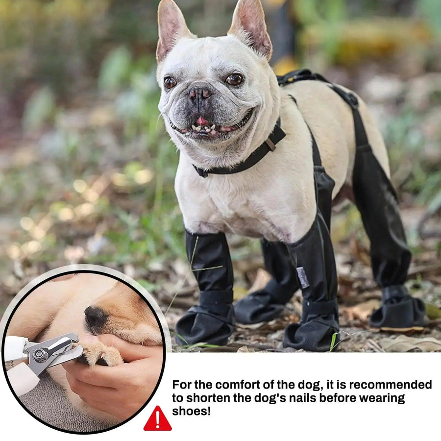 1Set Dog Shoes Puppy Dog Outdoor Sock Shoes Waterproof Dog Boot for Small Medium Dogs Pet Paw Protector Anti-Slip Dog Rain Shoes - Trusted Pet Products