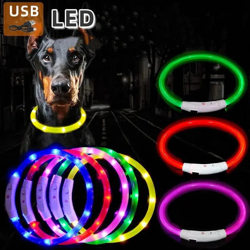 3 Modes Dog Luminous Charge Collar Led Usb Cat Dogs Collars Detachable Night Led Glow Dog Loss Prevention Collar Pet Accessories - Trusted Pet Products