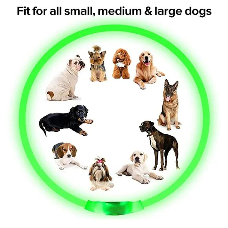 3 Modes Dog Luminous Charge Collar Led Usb Cat Dogs Collars Detachable Night Led Glow Dog Loss Prevention Collar Pet Accessories - Trusted Pet Products