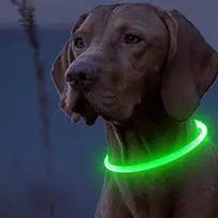 3 Modes Dog Luminous Charge Collar Led Usb Cat Dogs Collars Detachable Night Led Glow Dog Loss Prevention Collar Pet Accessories - Trusted Pet Products