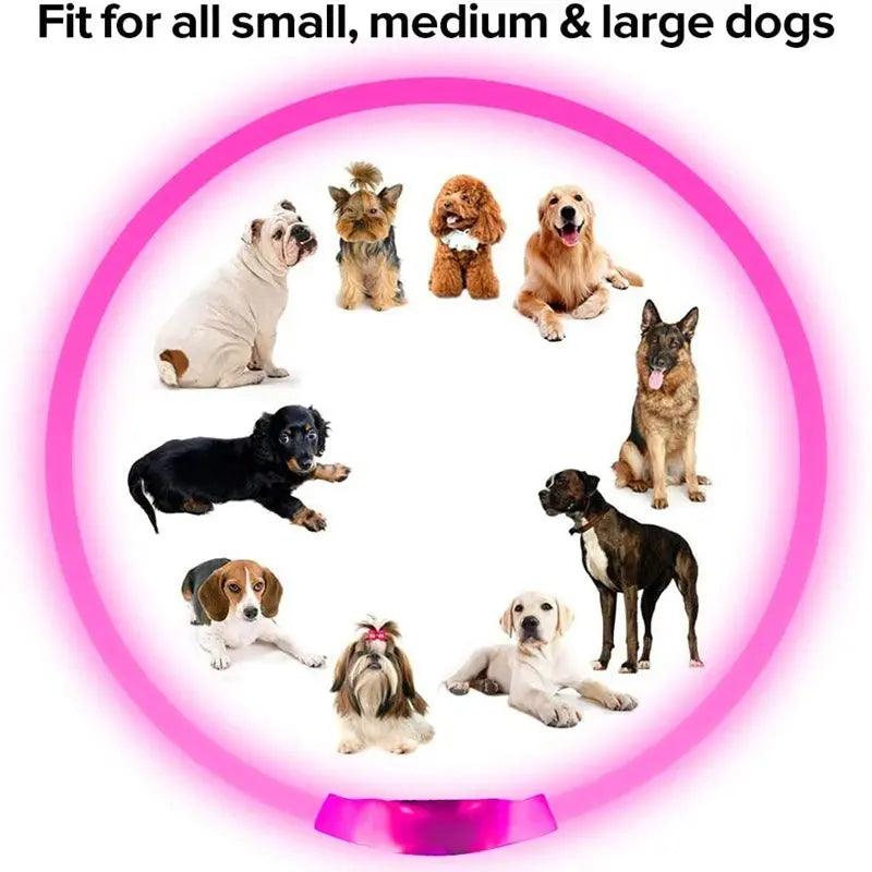 3 Modes Dog Luminous Charge Collar Led Usb Cat Dogs Collars Detachable Night Led Glow Dog Loss Prevention Collar Pet Accessories - Trusted Pet Products