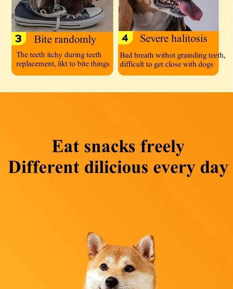 3 packs Multiple Flavors Chicken Duck Meat Bite Resistant Dog Snacks Treats - Trusted Pet Products