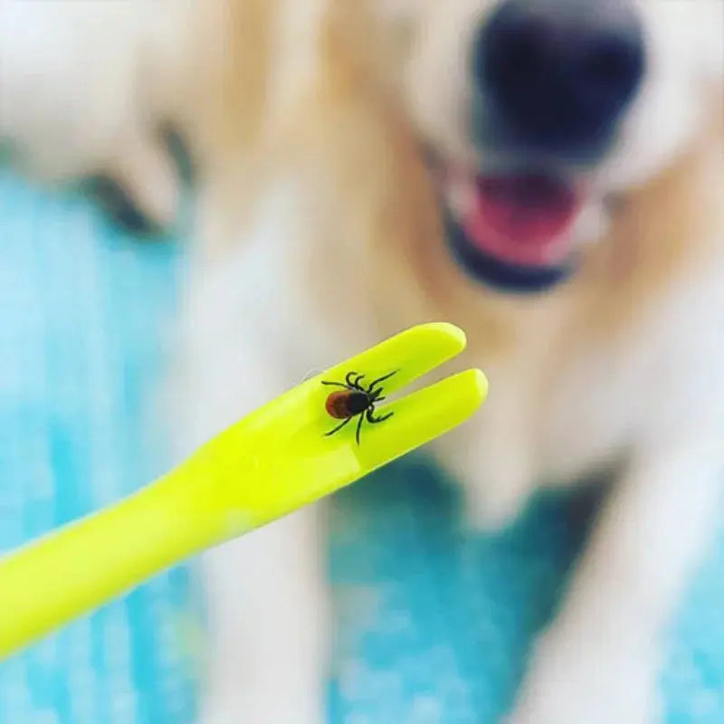 3pcs Dog Tick Flea Removal Tool Trusted Pet Products