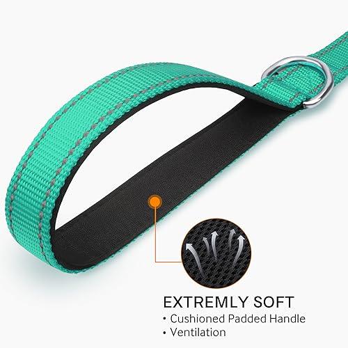 Joytale Dog Leash Heavy Duty for Large Dogs That Pull - Trusted Pet Products