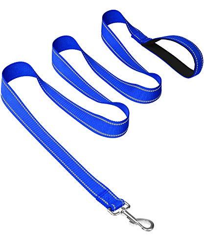 Joytale Dog Leash Heavy Duty for Large Dogs That Pull - Trusted Pet Products