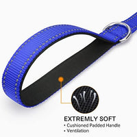 Joytale Dog Leash Heavy Duty for Large Dogs That Pull - Trusted Pet Products