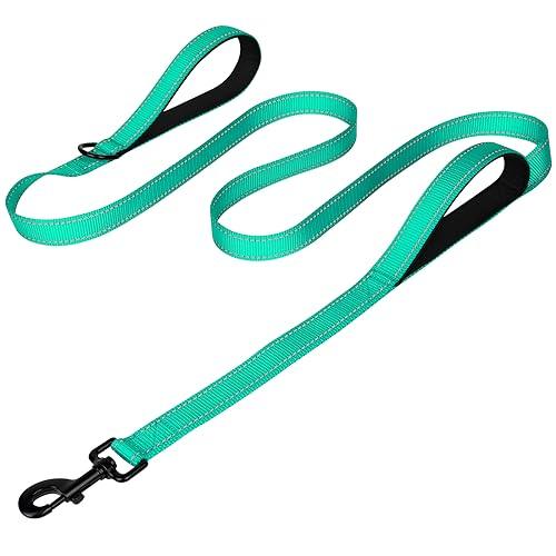 Joytale Dog Leash Heavy Duty for Large Dogs That Pull - Trusted Pet Products