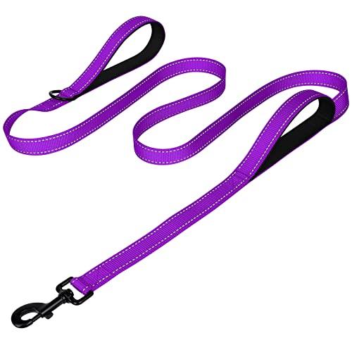 Joytale Dog Leash Heavy Duty for Large Dogs That Pull - Trusted Pet Products