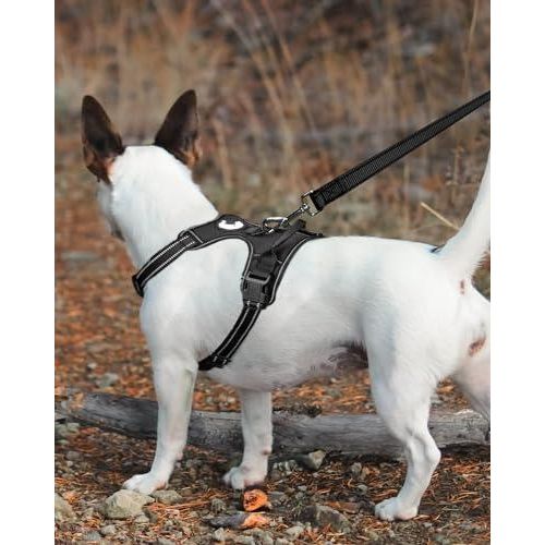 Joytale Dog Leash Heavy Duty for Large Dogs That Pull - Trusted Pet Products