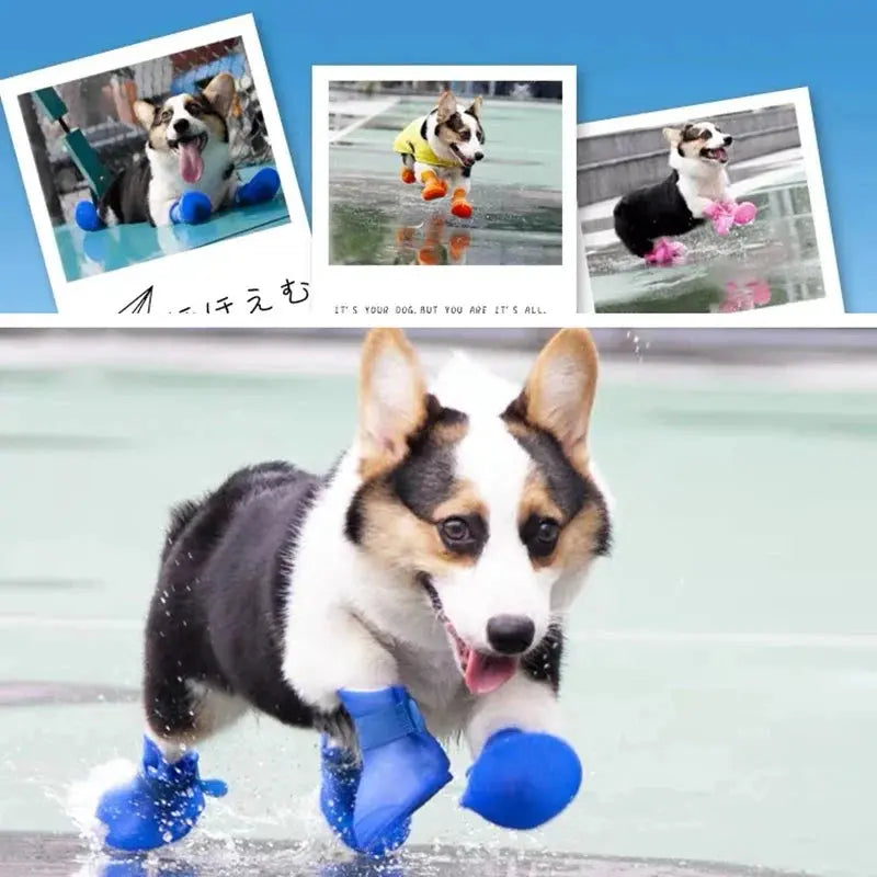 4Pcs Waterproof Anti-slip Rubber Boots For Dogs Trusted Pet Products