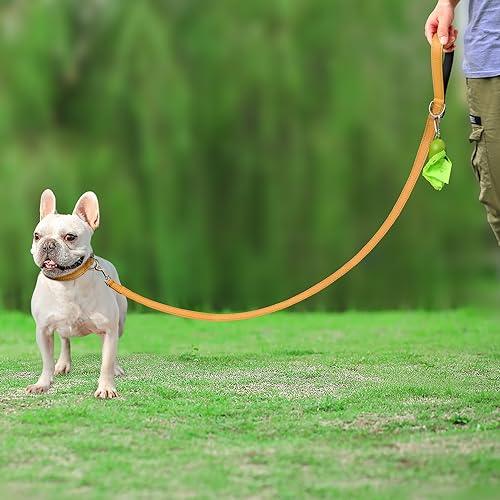 Joytale Dog Leash Heavy Duty for Large Dogs That Pull - Trusted Pet Products