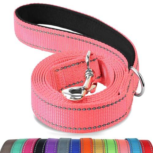 Joytale Dog Leash Heavy Duty for Large Dogs That Pull - Trusted Pet Products