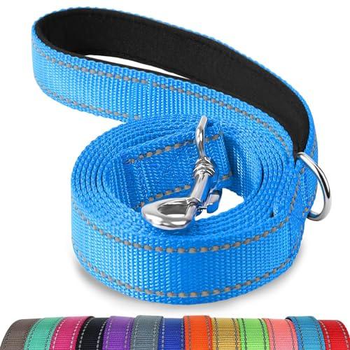 Joytale Dog Leash Heavy Duty for Large Dogs That Pull - Trusted Pet Products