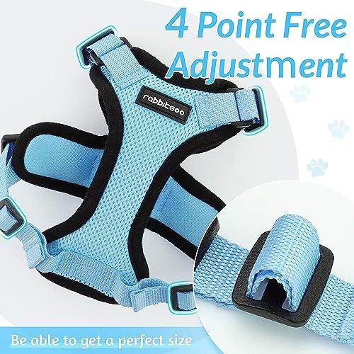 Escape Proof Cat Harness with Leash - Rabbitgoo - Trusted Pet Products