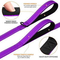 Joytale Dog Leash Heavy Duty for Large Dogs That Pull - Trusted Pet Products