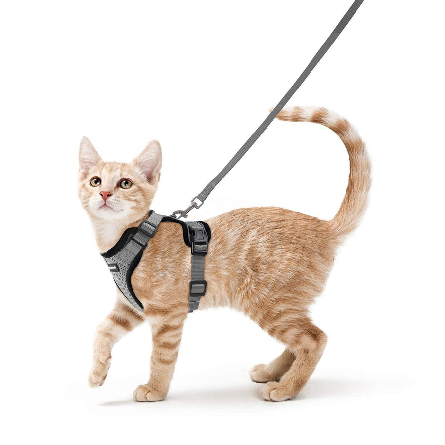 Escape Proof Cat Harness with Leash - Rabbitgoo - Trusted Pet Products