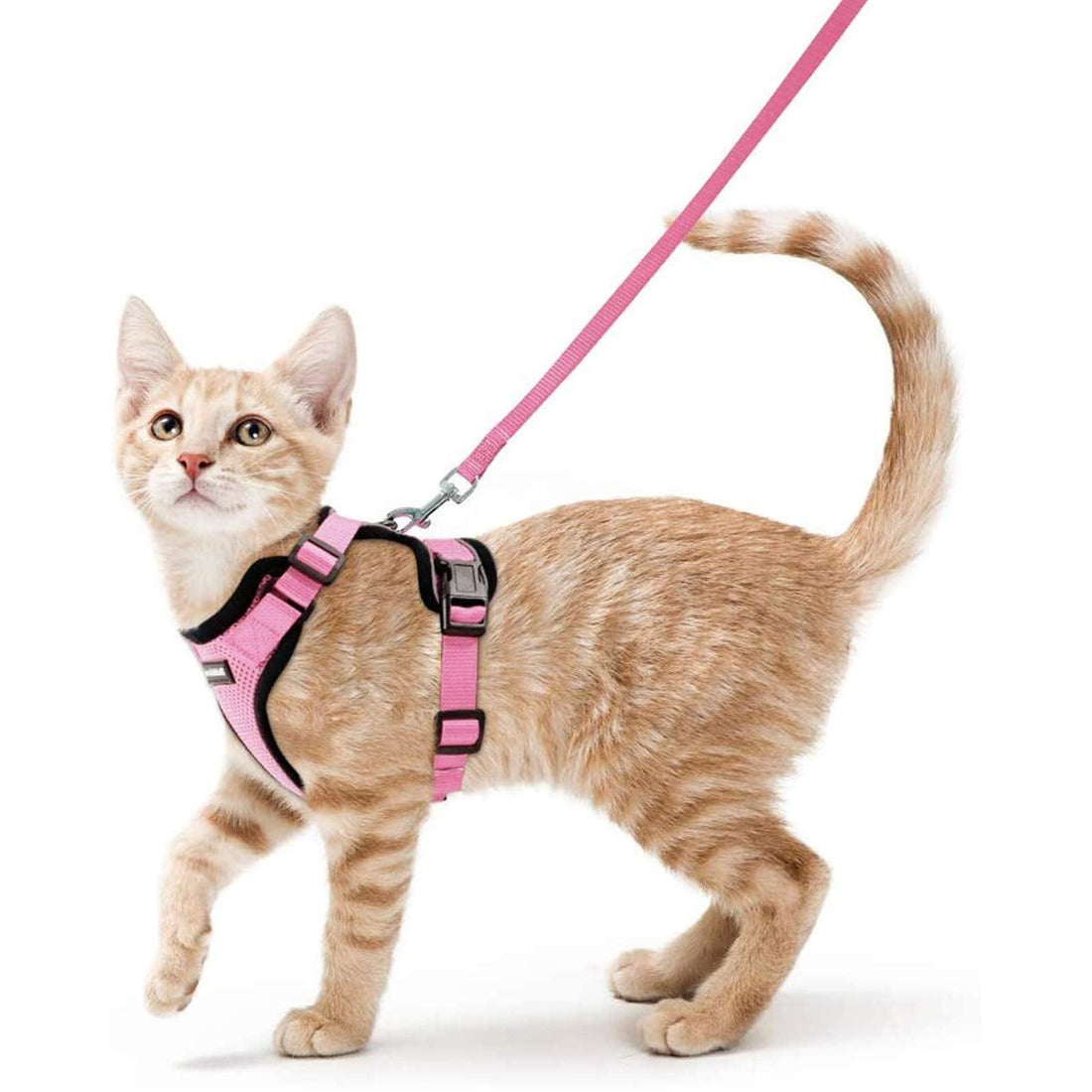 Escape Proof Cat Harness with Leash - Rabbitgoo - Trusted Pet Products