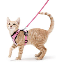 Escape Proof Cat Harness with Leash - Rabbitgoo - Trusted Pet Products