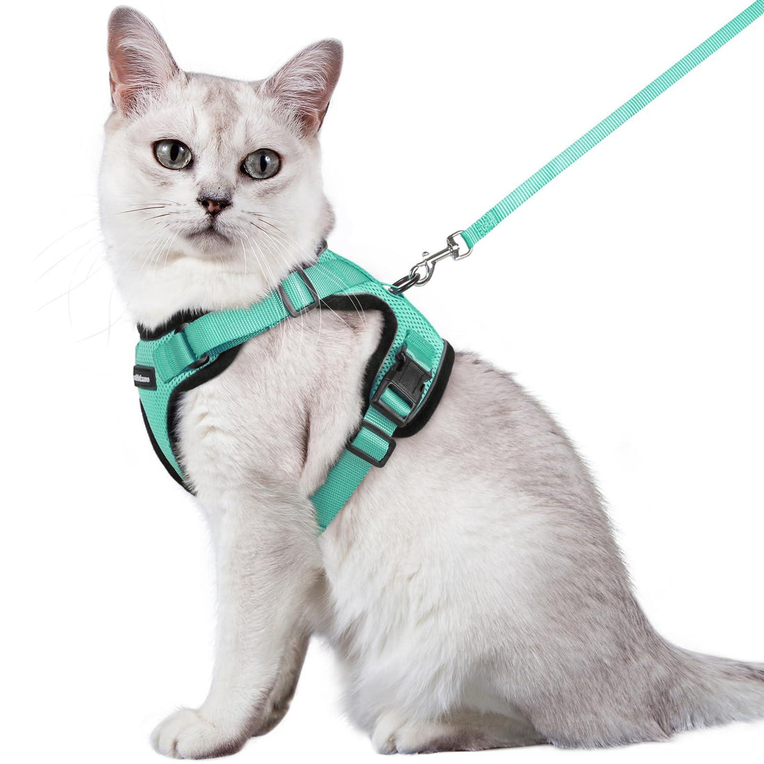 Escape Proof Cat Harness with Leash - Rabbitgoo - Trusted Pet Products