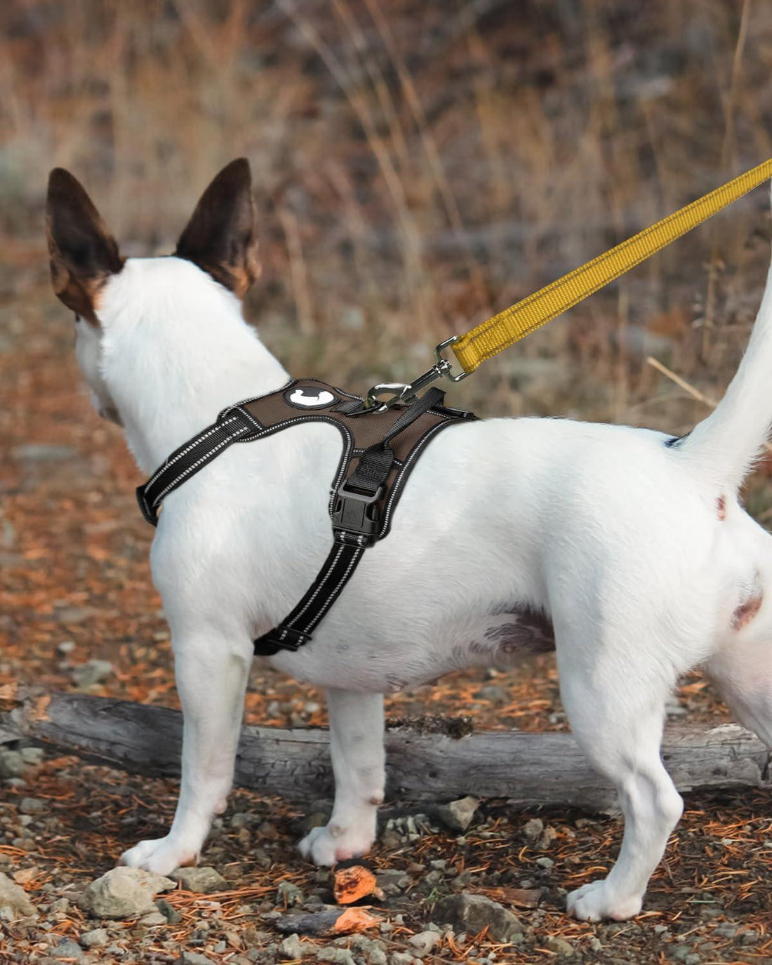 Joytale Dog Leash Heavy Duty for Large Dogs That Pull - Trusted Pet Products