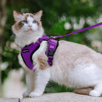 Escape Proof Cat Harness with Leash - Rabbitgoo - Trusted Pet Products