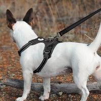 Joytale Dog Leash Heavy Duty for Large Dogs That Pull - Trusted Pet Products