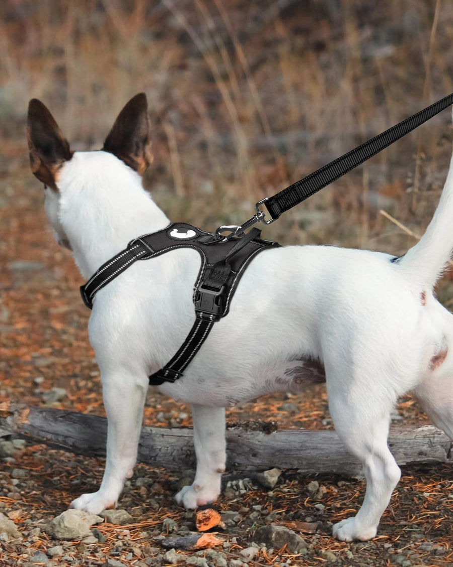 Joytale Dog Leash Heavy Duty for Large Dogs That Pull - Trusted Pet Products