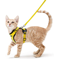 Escape Proof Cat Harness with Leash - Rabbitgoo - Trusted Pet Products