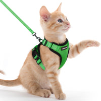 Escape Proof Cat Harness with Leash - Rabbitgoo - Trusted Pet Products