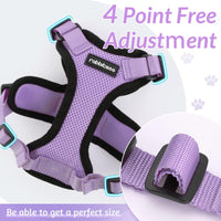 Escape Proof Cat Harness with Leash - Rabbitgoo - Trusted Pet Products