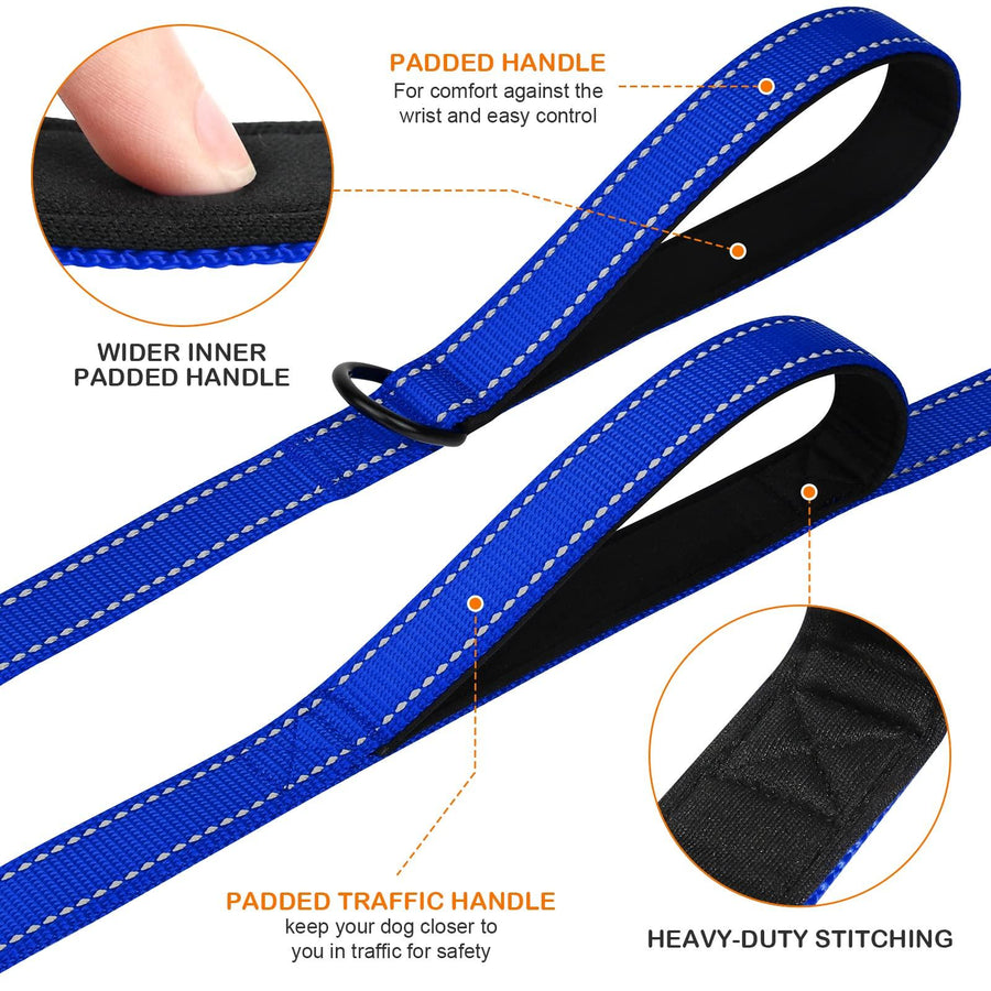 Joytale Dog Leash Heavy Duty for Large Dogs That Pull - Trusted Pet Products