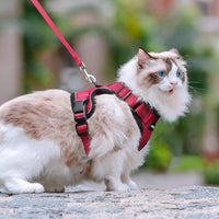 Escape Proof Cat Harness with Leash - Rabbitgoo - Trusted Pet Products