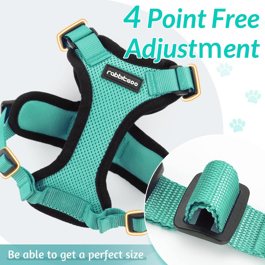 Escape Proof Cat Harness with Leash - Rabbitgoo - Trusted Pet Products