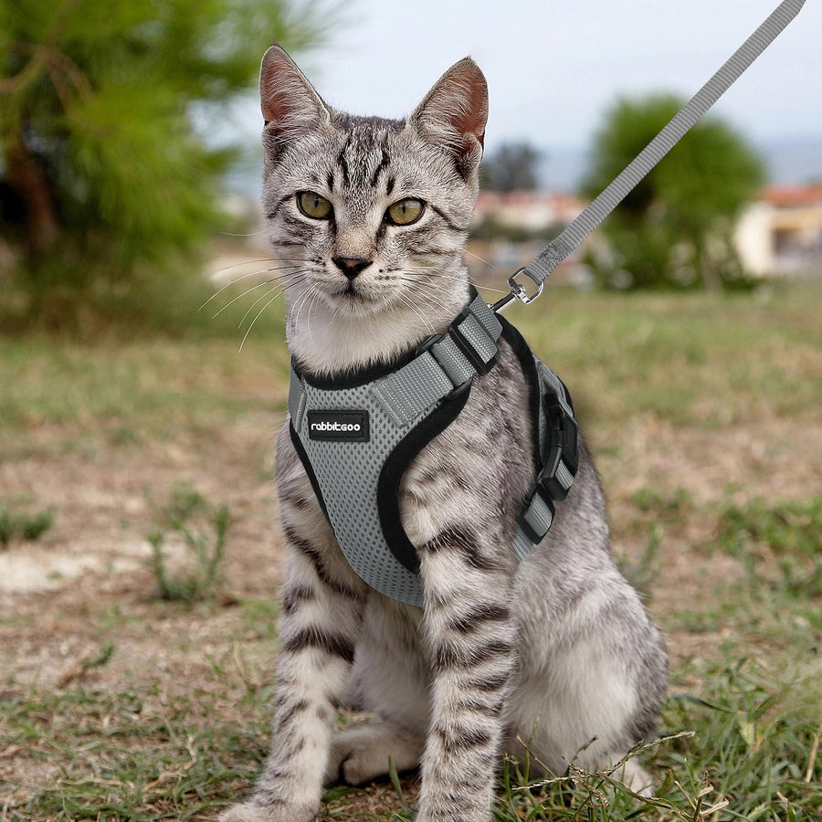 Escape Proof Cat Harness with Leash - Rabbitgoo - Trusted Pet Products