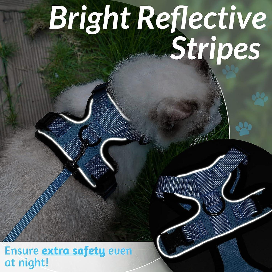 Escape Proof Cat Harness with Leash - Rabbitgoo - Trusted Pet Products