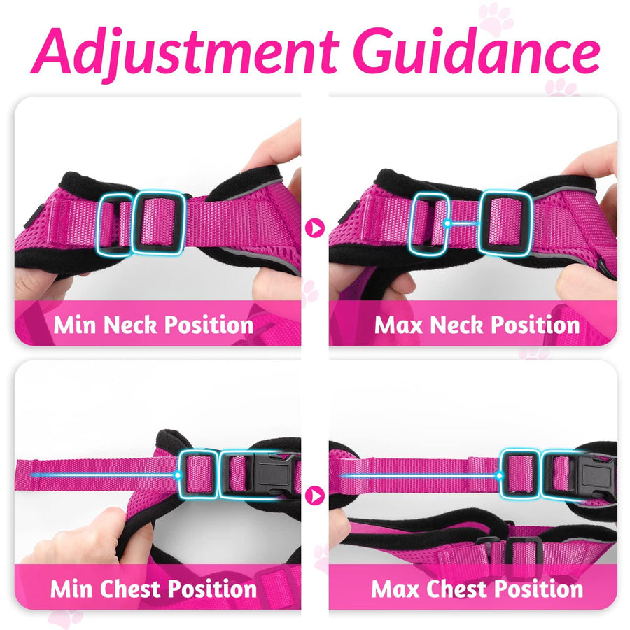 Escape Proof Cat Harness with Leash - Rabbitgoo - Trusted Pet Products