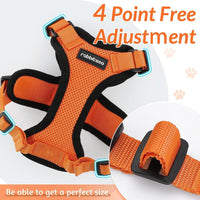 Escape Proof Cat Harness with Leash - Rabbitgoo - Trusted Pet Products