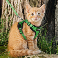 Escape Proof Cat Harness with Leash - Rabbitgoo - Trusted Pet Products