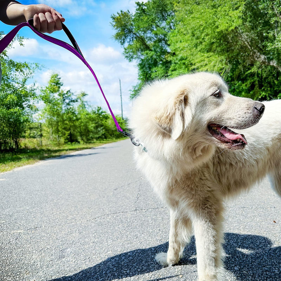 Joytale Dog Leash Heavy Duty for Large Dogs That Pull - Trusted Pet Products