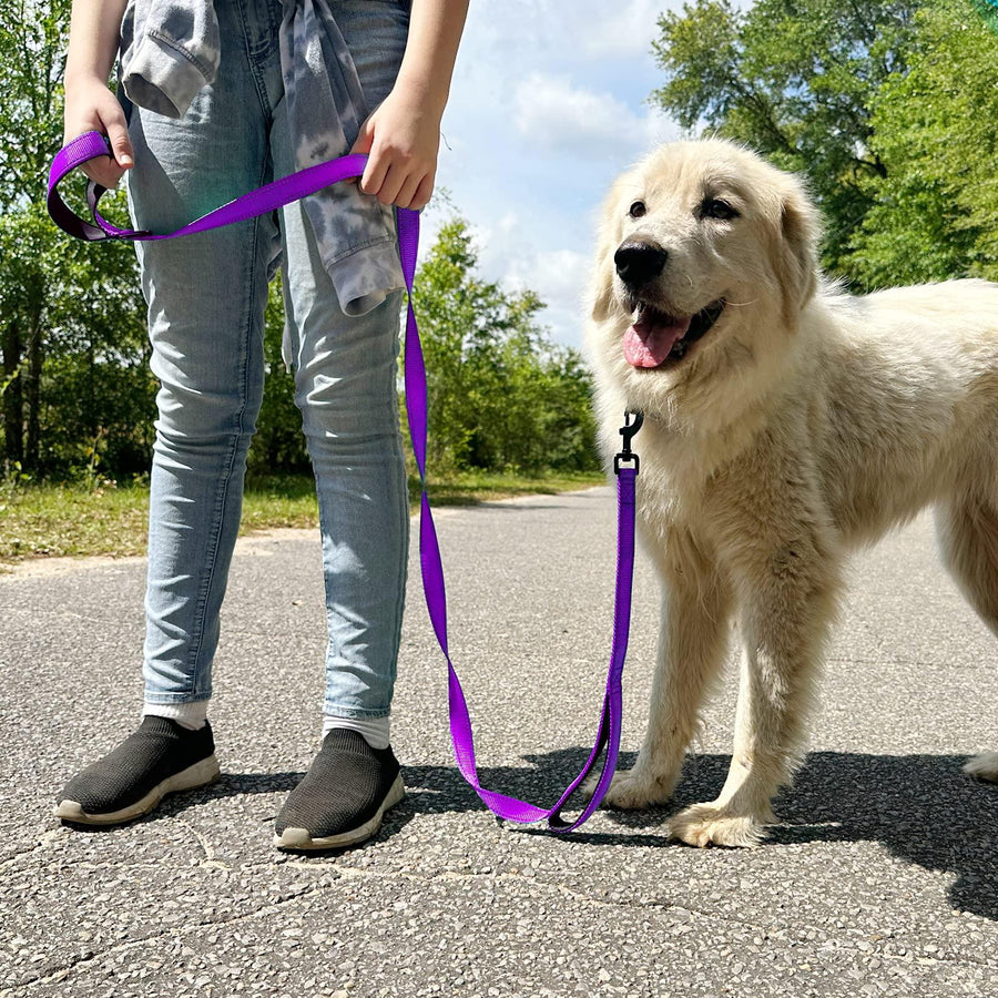 Joytale Dog Leash Heavy Duty for Large Dogs That Pull - Trusted Pet Products