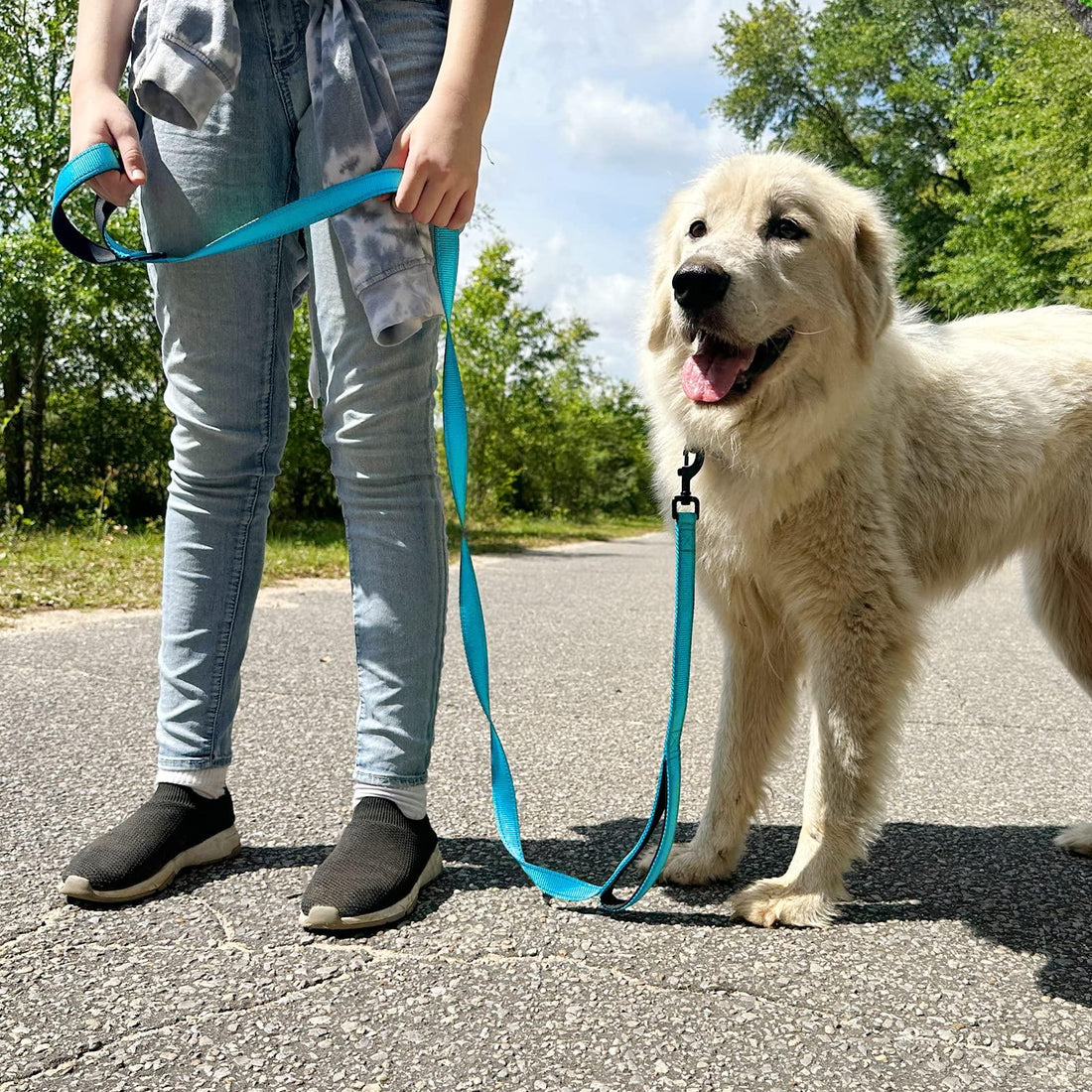 Joytale Dog Leash Heavy Duty for Large Dogs That Pull - Trusted Pet Products