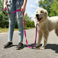 Joytale Dog Leash Heavy Duty for Large Dogs That Pull - Trusted Pet Products