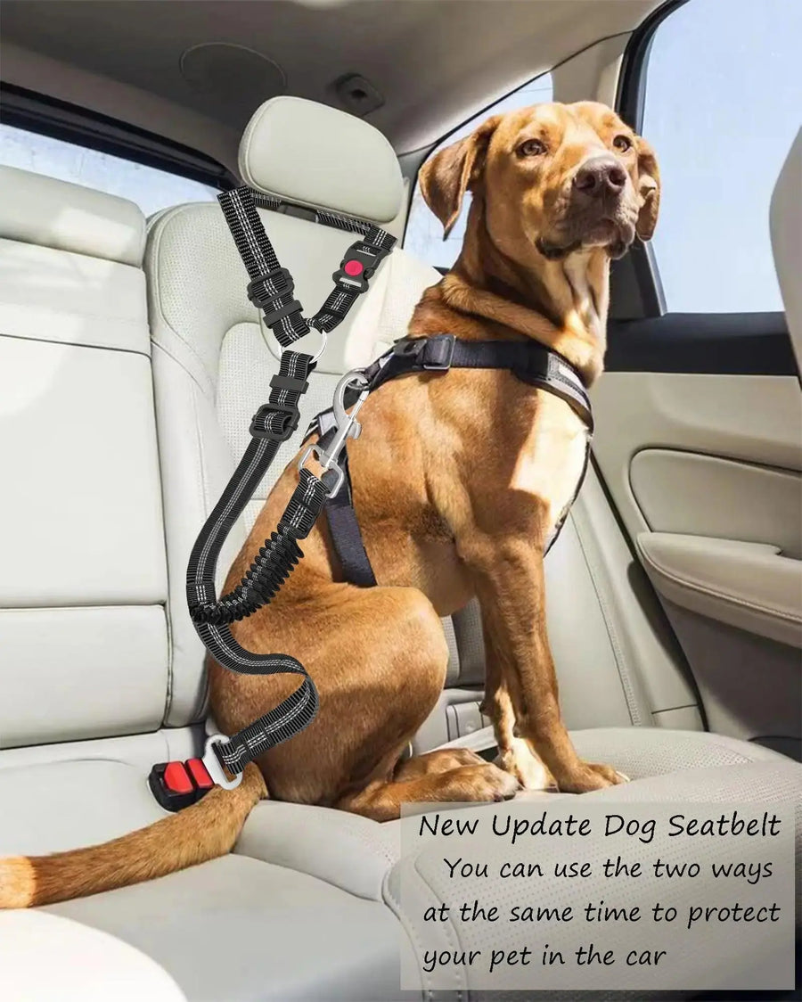 Adjustable And Heavy Duty Dog Car Seat Belt - Striped Nylon Large Dog Traction Rope for Car Rides - Trusted Pet Products