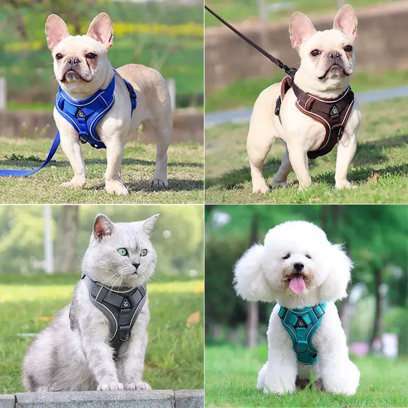 Adjustable Chest Strap Harness and Leash Set For Small and Medium Dogs Trusted Pet Products