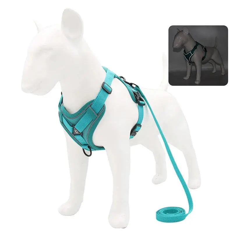 Adjustable Chest Strap Harness and Leash Set For Small and Medium Dogs - Trusted Pet Products