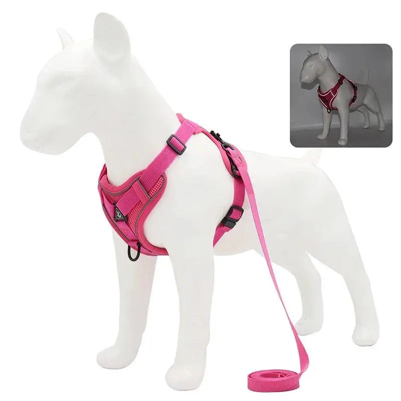 Adjustable Chest Strap Harness and Leash Set For Small and Medium Dogs - Trusted Pet Products